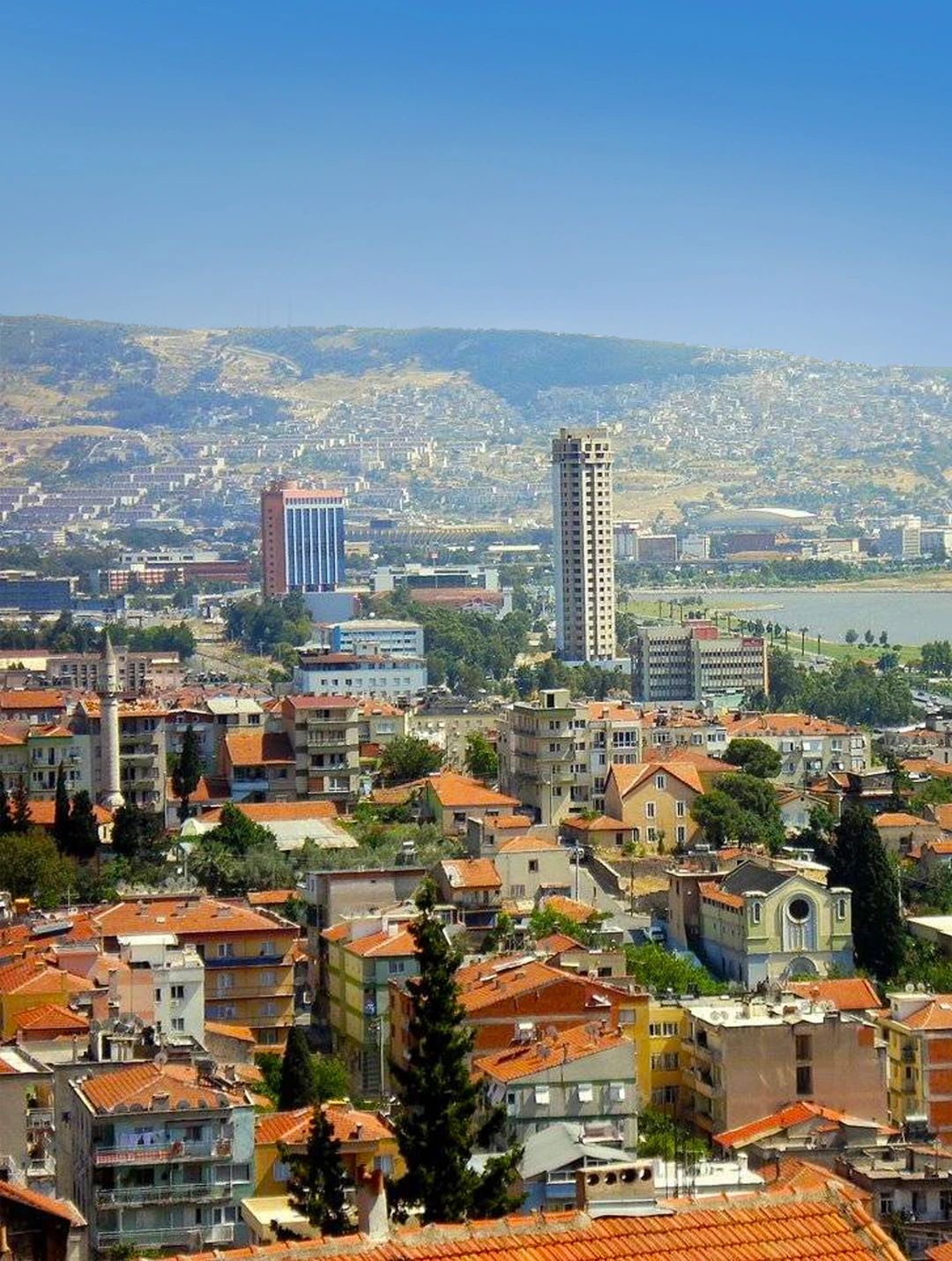 services.neighborhoods