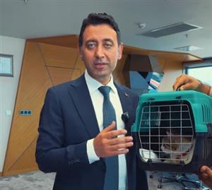 Smyrna’ ve arkadaşlarının yuvaya ihtiyacı var, bizimle irtibata geçin bir can da siz kurtarın.